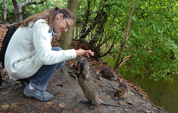 Teilnehmer am Minimumtreffen 2014 erleben, wie ein Nutria in Halle an der Saale um Futter bettelt.